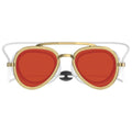 2-in-1 Swim Goggles & Sunglasses